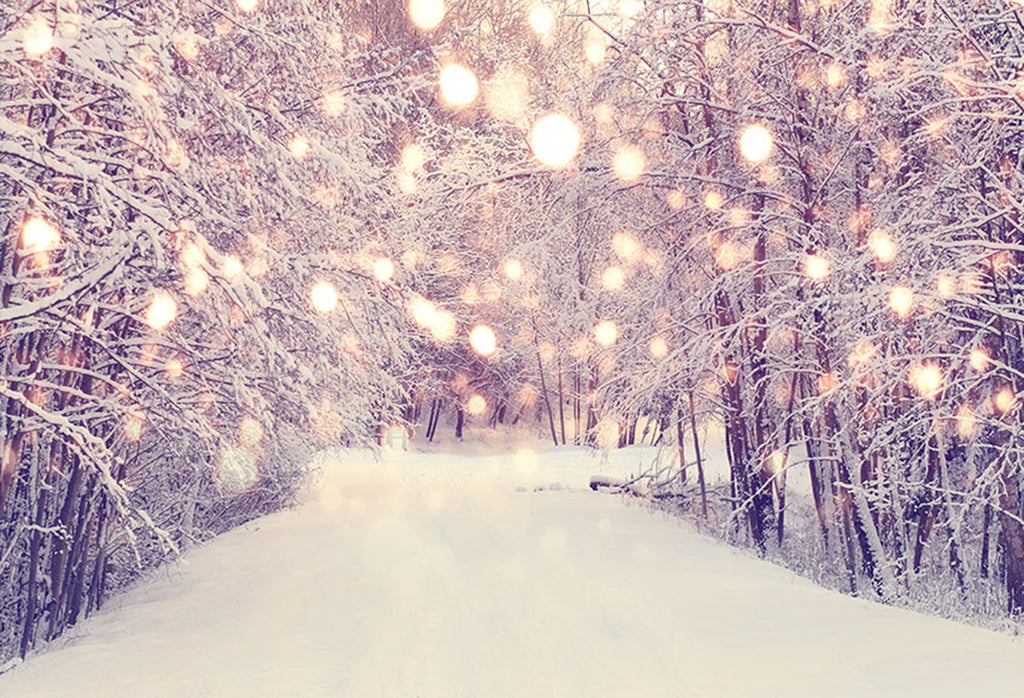 Winter Snow – dreamybackdrop