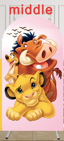 Customize Size Name The Lion King Photo Background Character Cover Theme Arch Background Double Side Elastic Covers