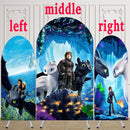 Customize How to Train Your Dragon Photo Background Cover Theme Arch Backgrounds Double Side Elastic Covers