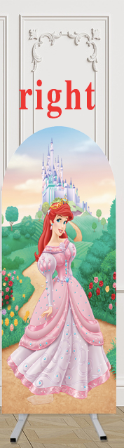 Customize Size Disney Princess Photo Background Princess Cover Theme Arch Background Double Side Elastic Covers